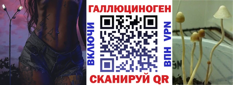 продажа наркотиков  Похвистнево  Галлюциногенные грибы GOLDEN TEACHER 
