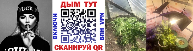 Конопля тримм  omg зеркало  Похвистнево  как найти закладки 
